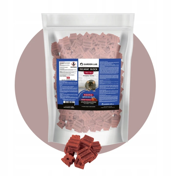 kostka.jpeg