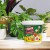C- Block 500g - naturalna ochrona przed szkodnikami i chorobami grzybowymi