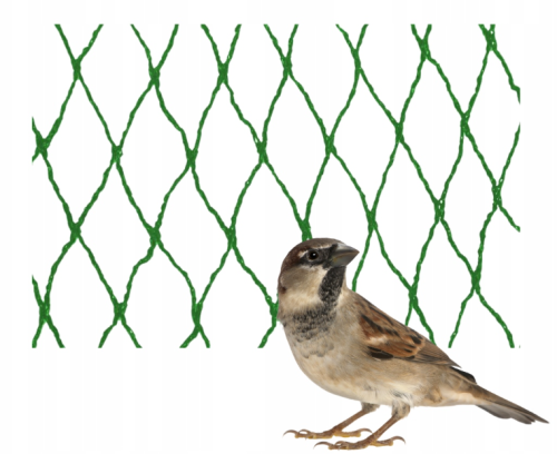 Siatka na ptaki .png