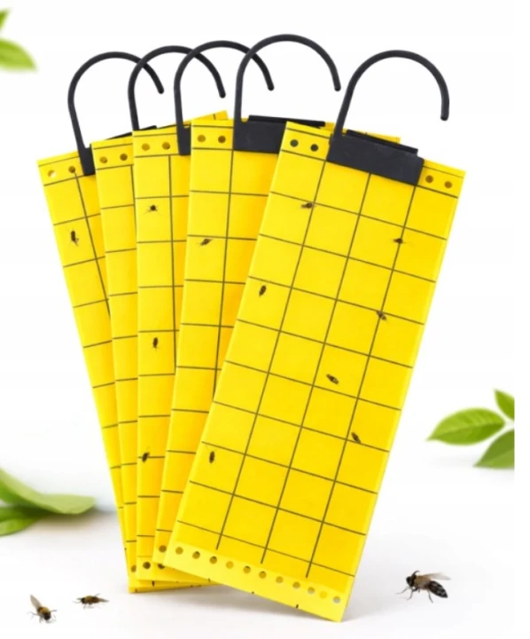 Żółty lep 24 cm x 10 cm - ochrona przed szkodnikami ( owady , muszki) zestaw 5 sztuk