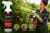 Srodek-na-mszyce-cme-bukszpanowa-plesn-grzyby-500ml-na-pomidory-Producent-nieznany-producent.jpeg