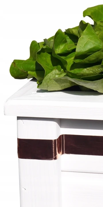 f15c7b3749f59f65a8234b64852f