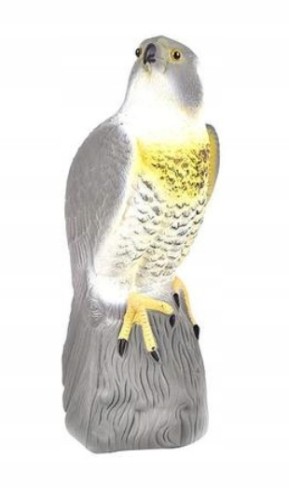 37e7a88840e1adb4a4d2701c3c43