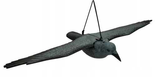 Kruk 80 cm - duży odstraszacz ptaków, gołębi , szpaków
