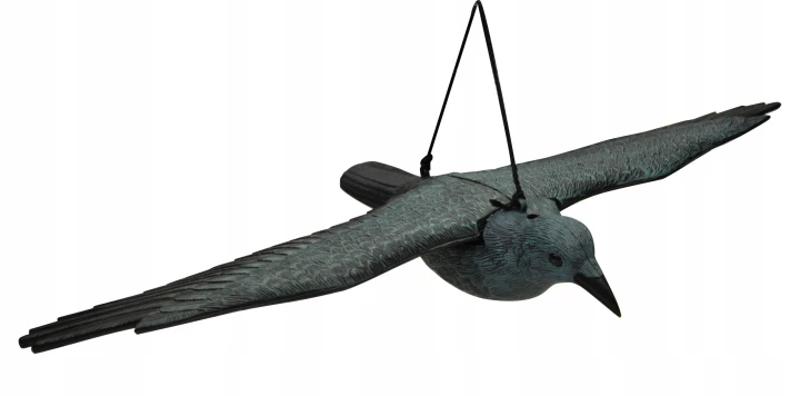 Kruk 80 cm - duży odstraszacz ptaków, gołębi , szpaków