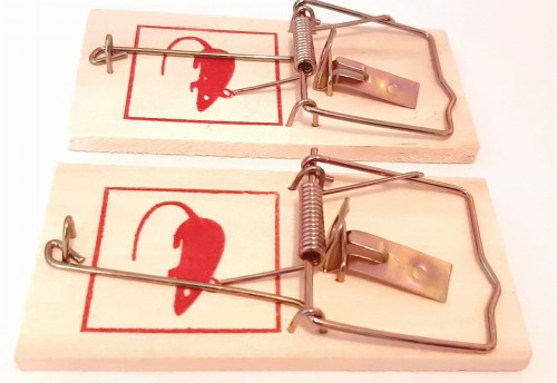 drewniana pułapka 2 szt.jpg