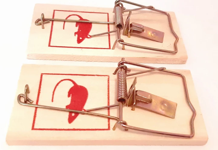 drewniana pułapka 2 szt.jpg