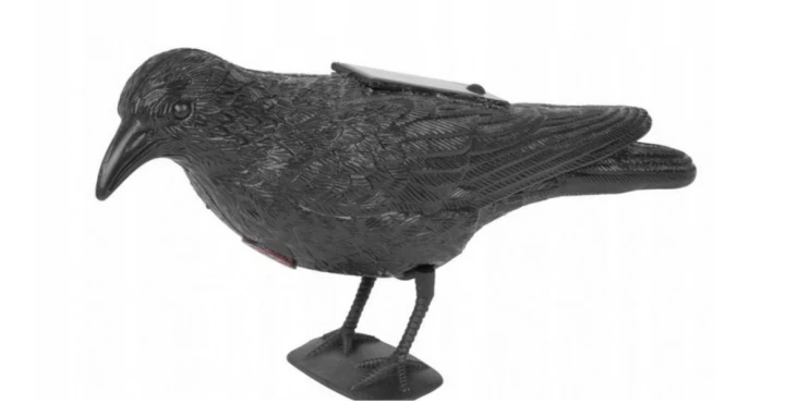 Kruk 80 cm - dźwiękowy Solarny